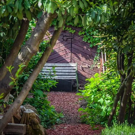 Entire House In The Center Of - Free Parking - Dragon Garden Pavilion Ubytování v soukromí *